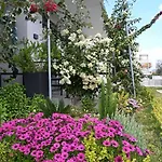 Bellelen - Vassilikos *