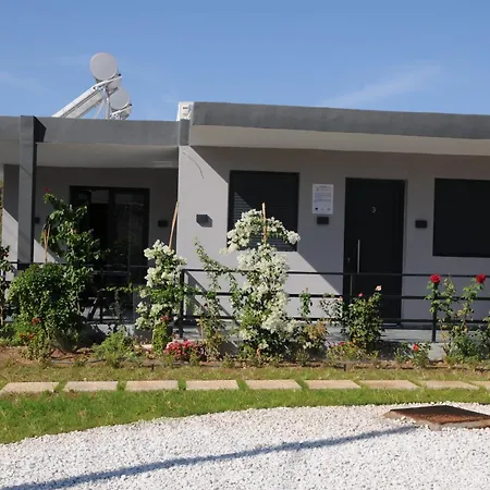 Bellelen - Vassilikos *