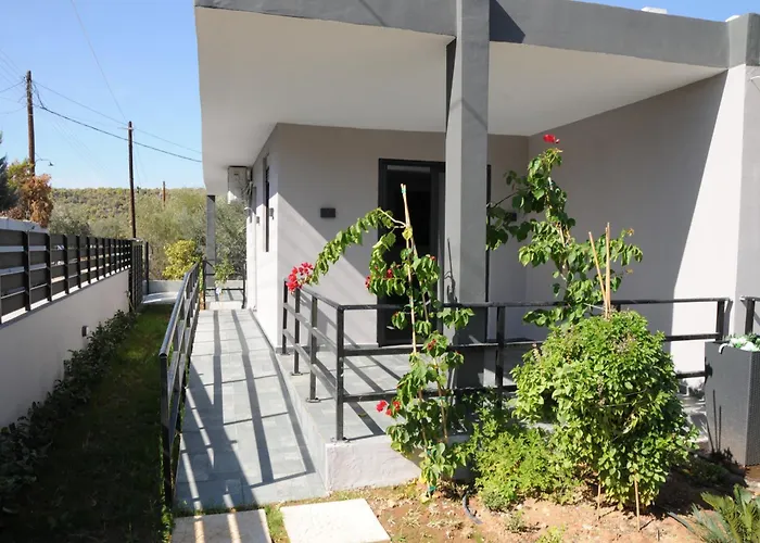 Bellelen - Vassilikos